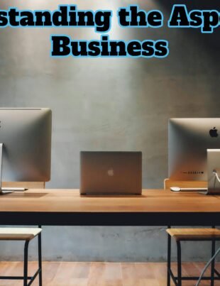 Understanding the Aspects of Business