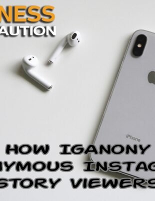 How IgAnony Anonymous Instagram Story Viewers