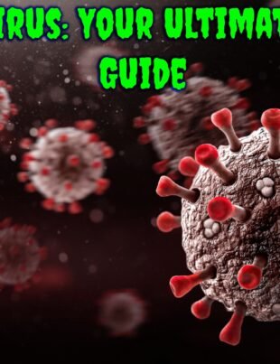 Webcord Virus: Your Ultimate Survival Guide