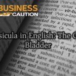 Vesicula in English: The Gall Bladder