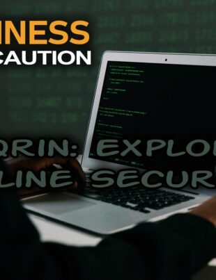 Elfqrin: Exploring Online Security